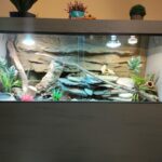 55 Gallon Tank