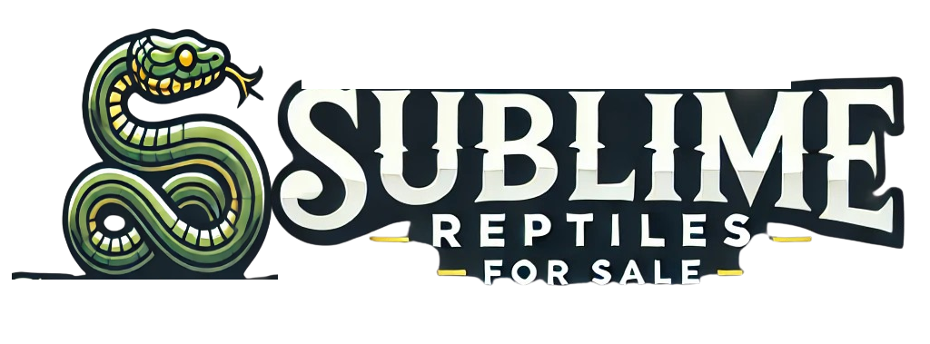 Sublime Reptiles for Sale