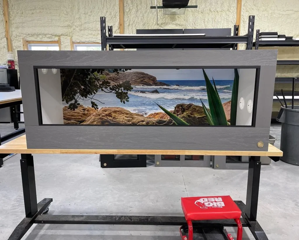Bearded Dragon Habitat