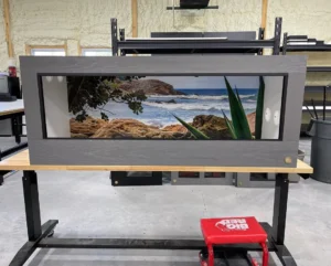 Bearded Dragon Habitat
